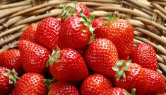 草莓鲜果-丹东市划算的草莓鲜果哪里买